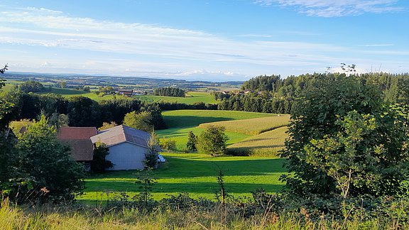 Blick_vom_Friedensplatzl_nach_Nord.jpg  