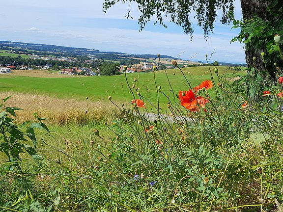 20240705chneidersberg.jpg
